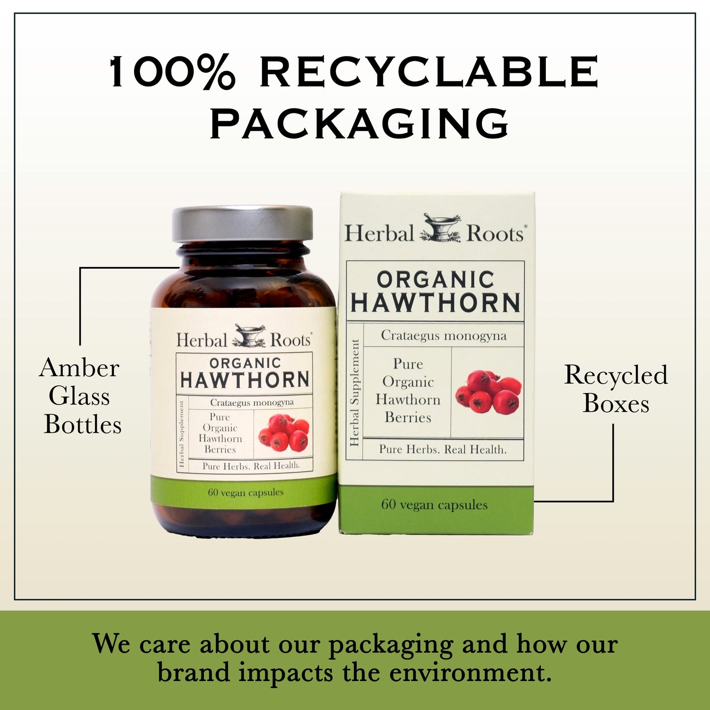 Organic Hawthorn Berry