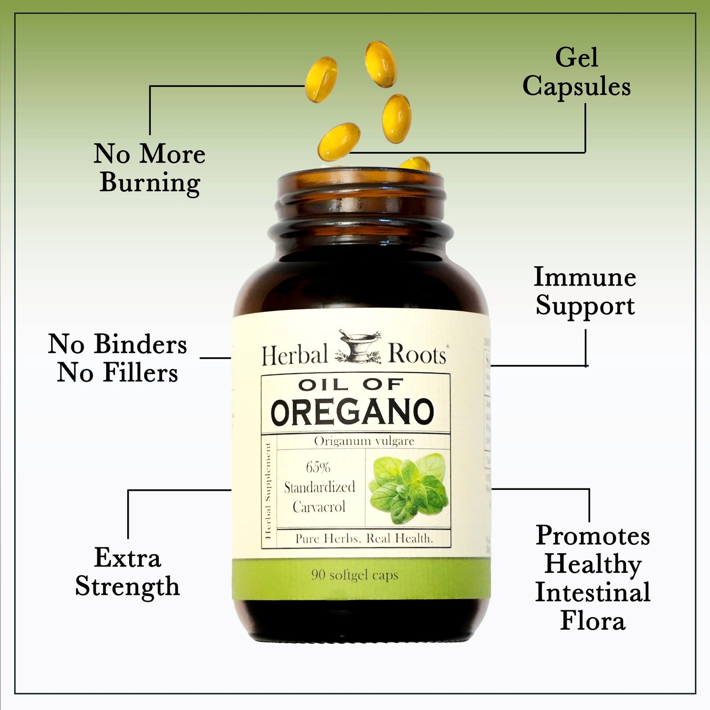 Oil of Oregano