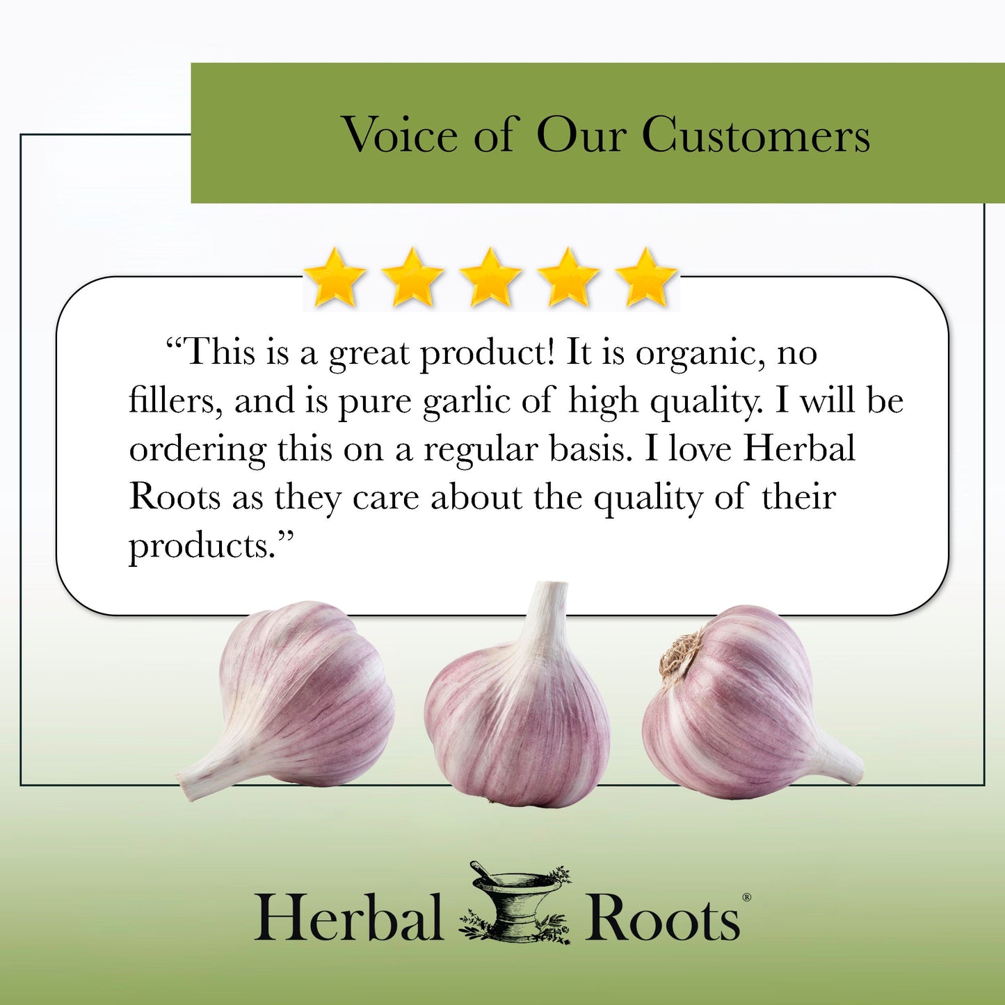 Organic Whole Bulb Garlic